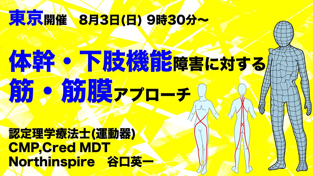 運動器官にトータルアプローチ！体幹バランス調整導入プログラム 理学療法介入】体幹筋のアプローチ｜Kinetech公式<東京科学大学認定
