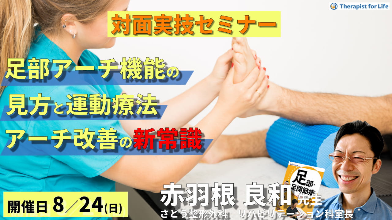 すぐに使える!整形外科評価法【上肢編】【下肢編】 すぐ使える！整形外科評価法 上肢・下肢編セット DVD2枚