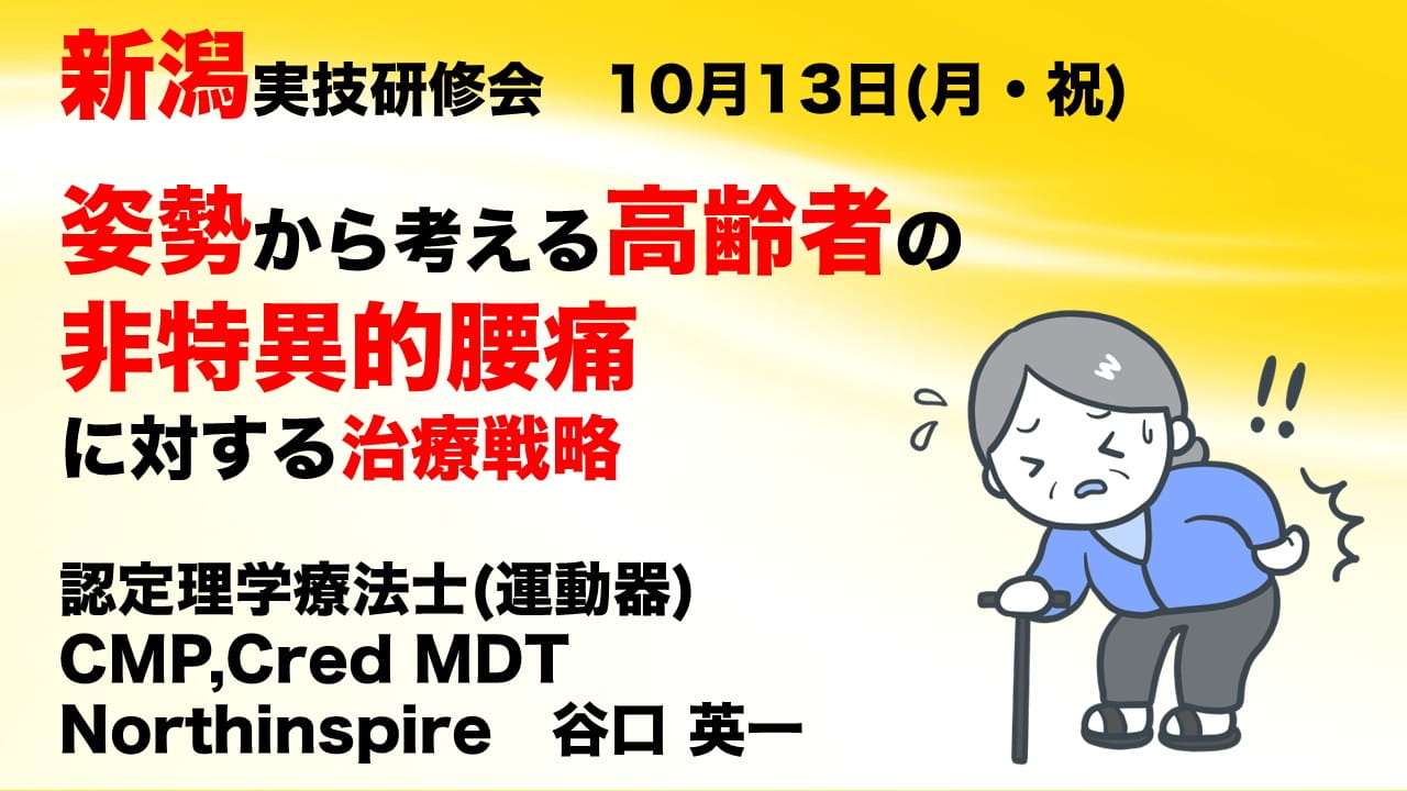 姿勢から考える高齢者の非特異的腰痛に対する治療戦略 ｜ XPERT