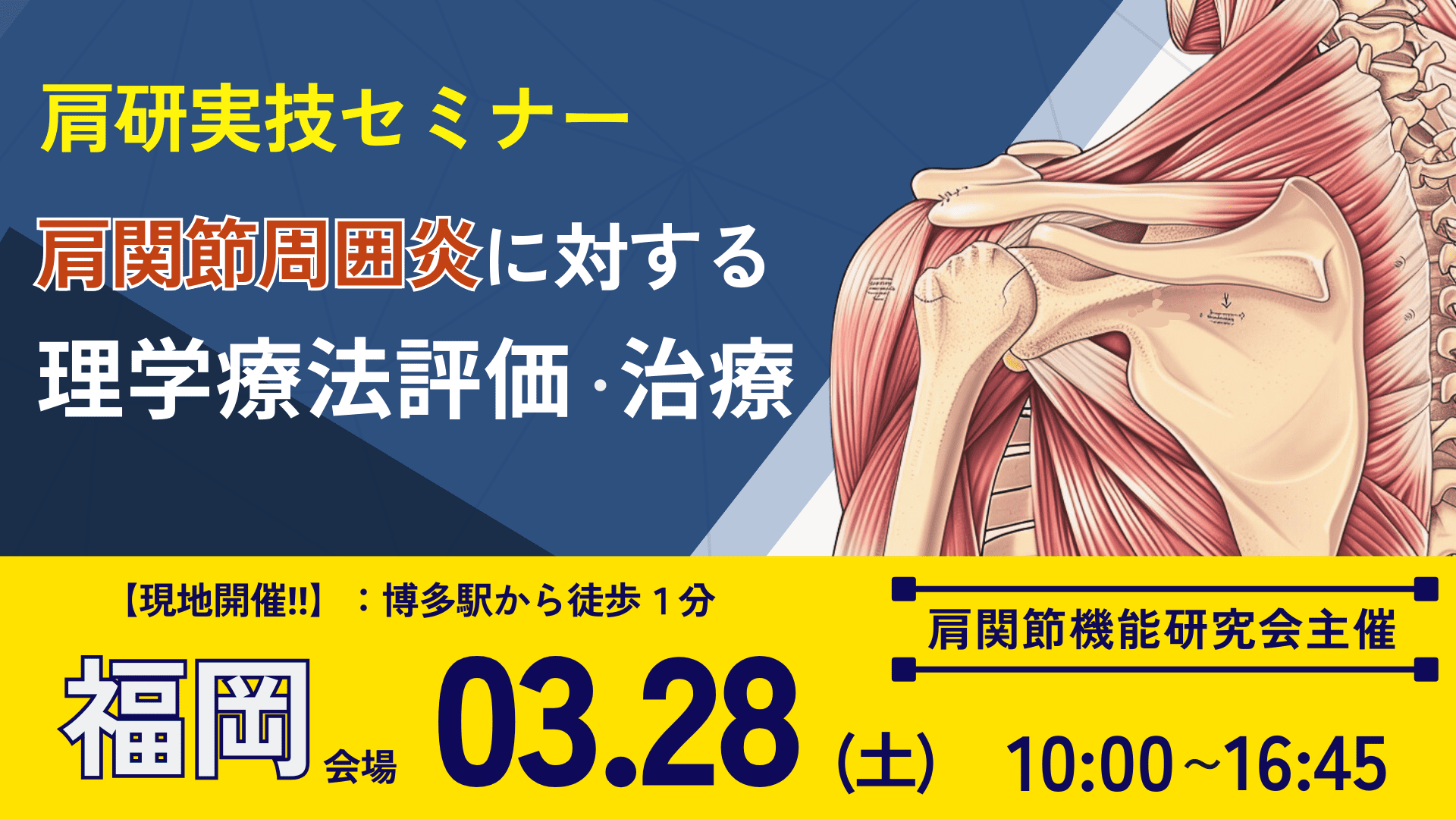 肩関節周囲炎に対する理学療法 福岡開催‼【肩研実技セミナー】肩関節周囲炎に対する理学療法評価と