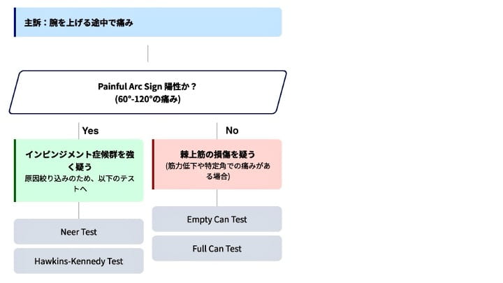 明日から臨床で使える！肩関節の整形外科テスト一覧と実践的な評価の