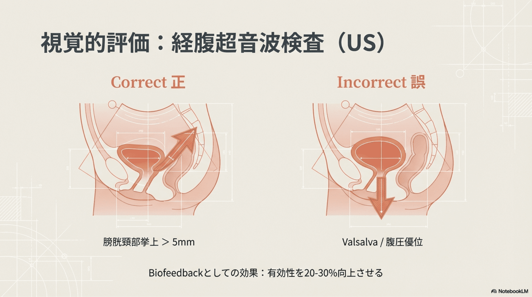 産後の骨盤底筋機能障害に対する理学療法アプローチ｜エビデンスに