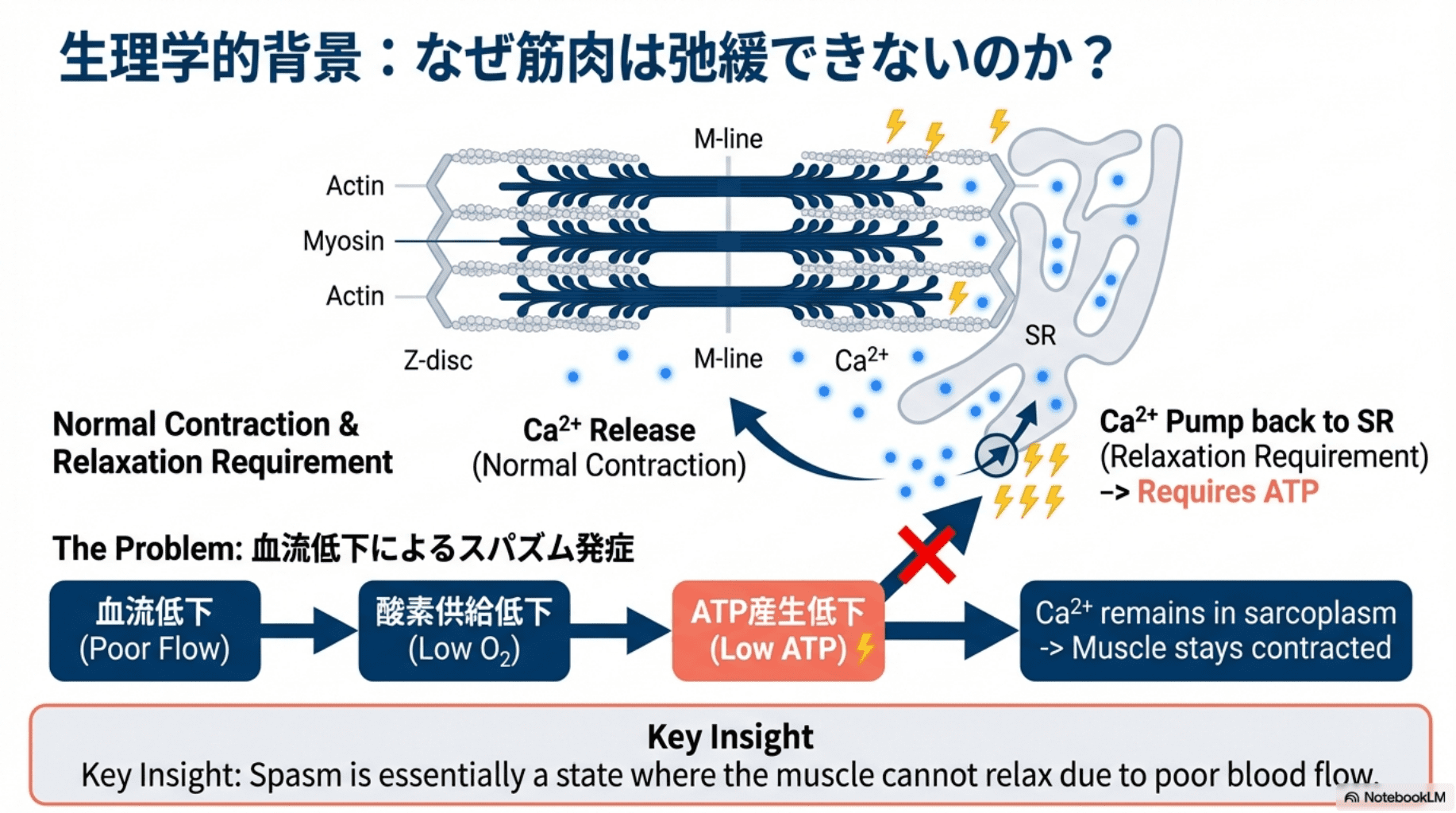 筋 スパズム と は