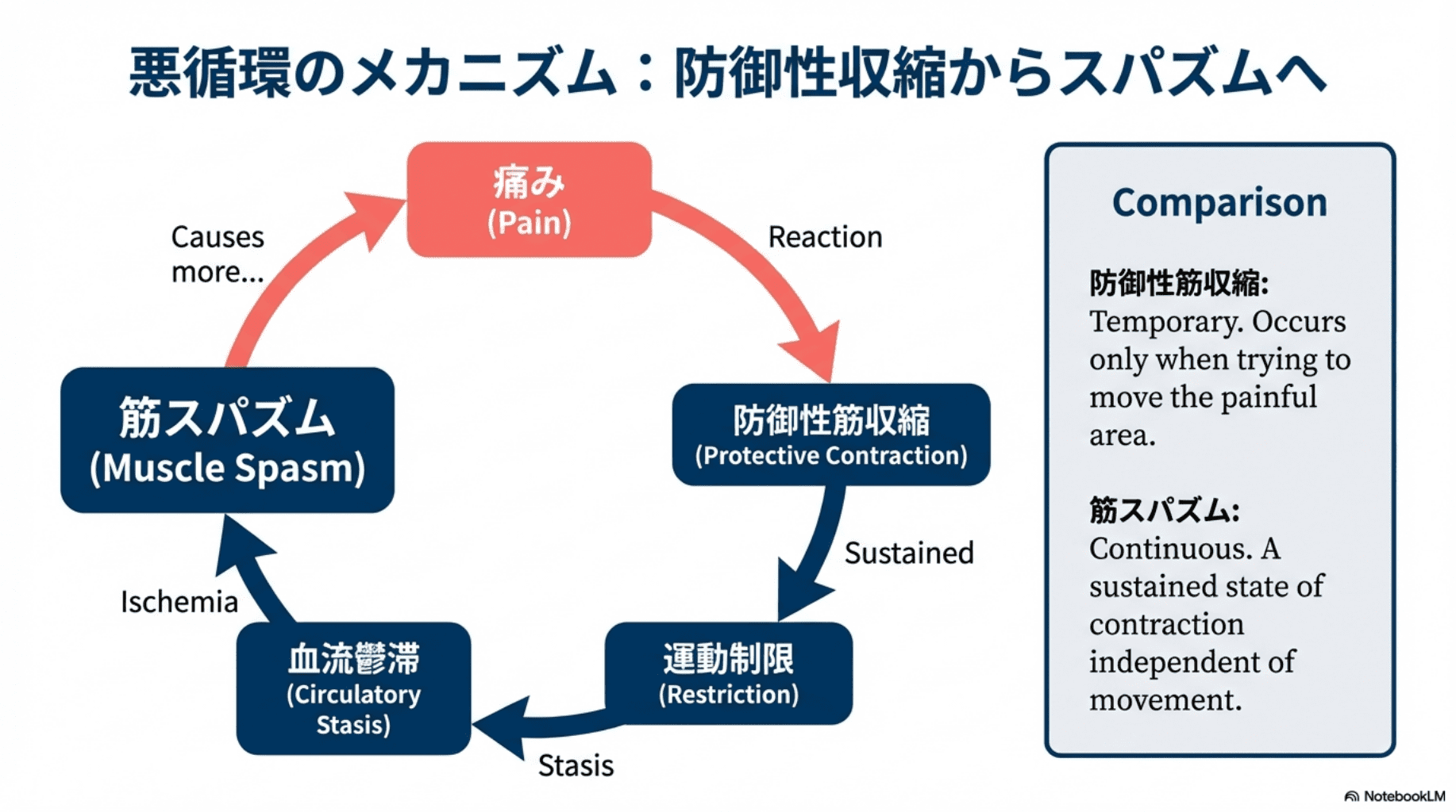 筋 スパズム と は
