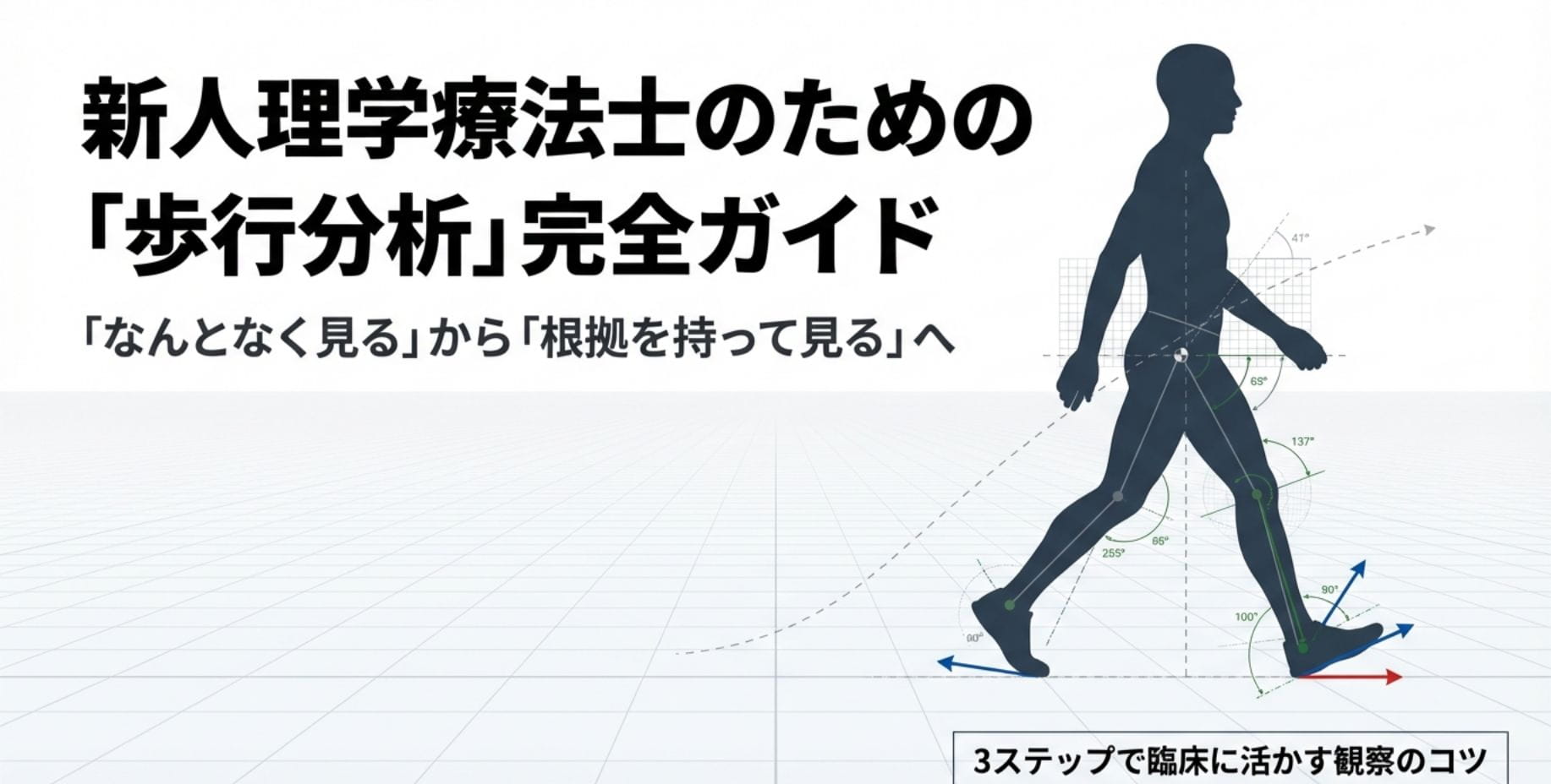 新人理学療法士向け】歩行分析が苦手な人のための完全ガイド｜3