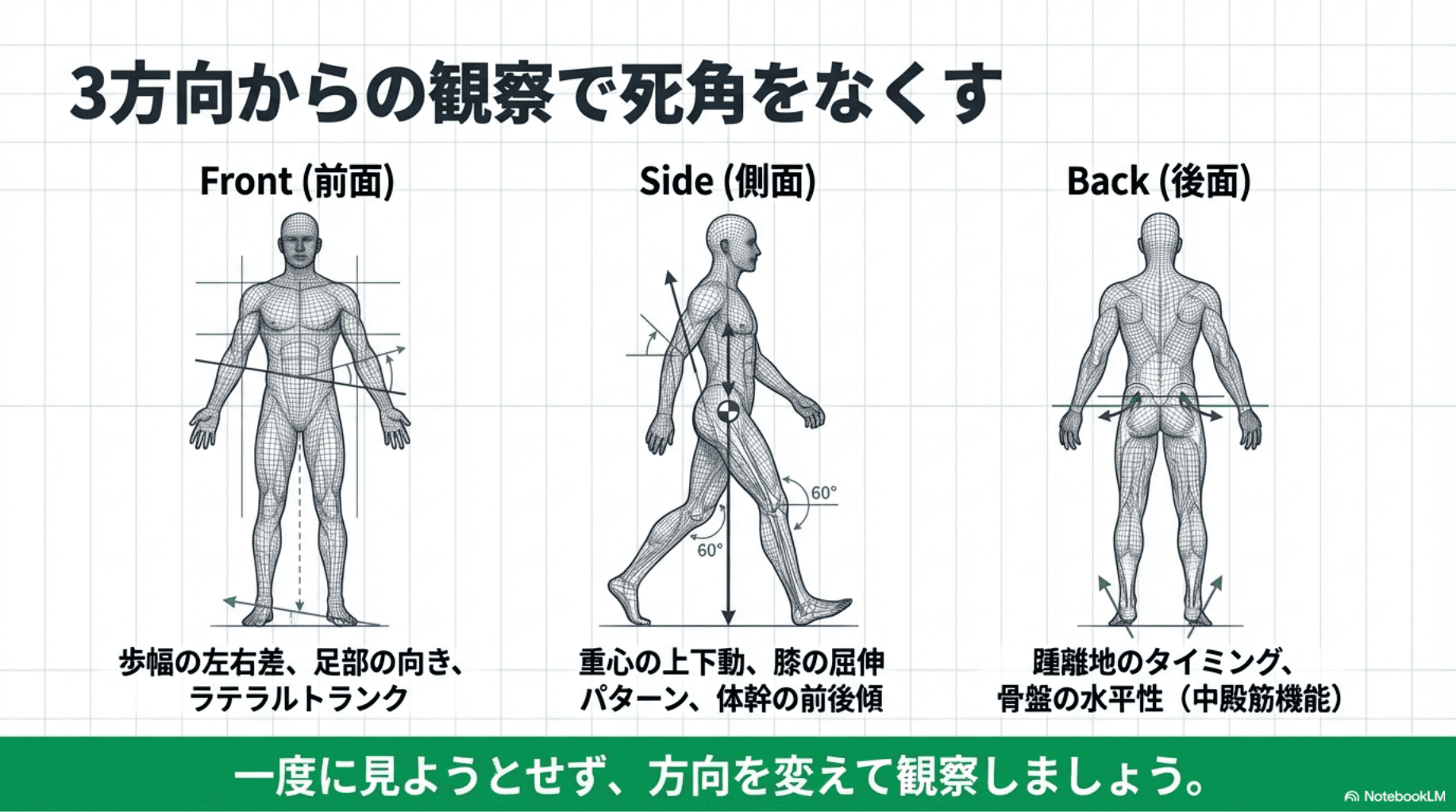 新人理学療法士向け】歩行分析が苦手な人のための完全ガイド｜3