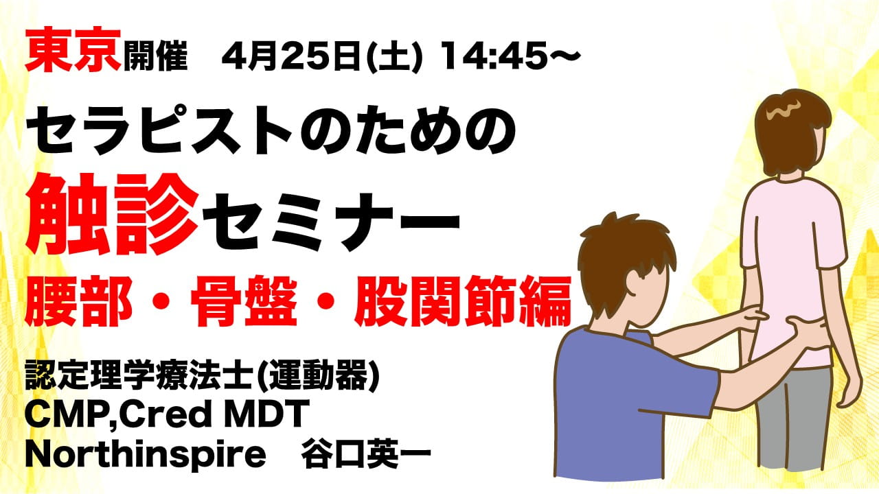 セラピストのための触診セミナー 腰部・骨盤・股関節編 ｜ XPERT