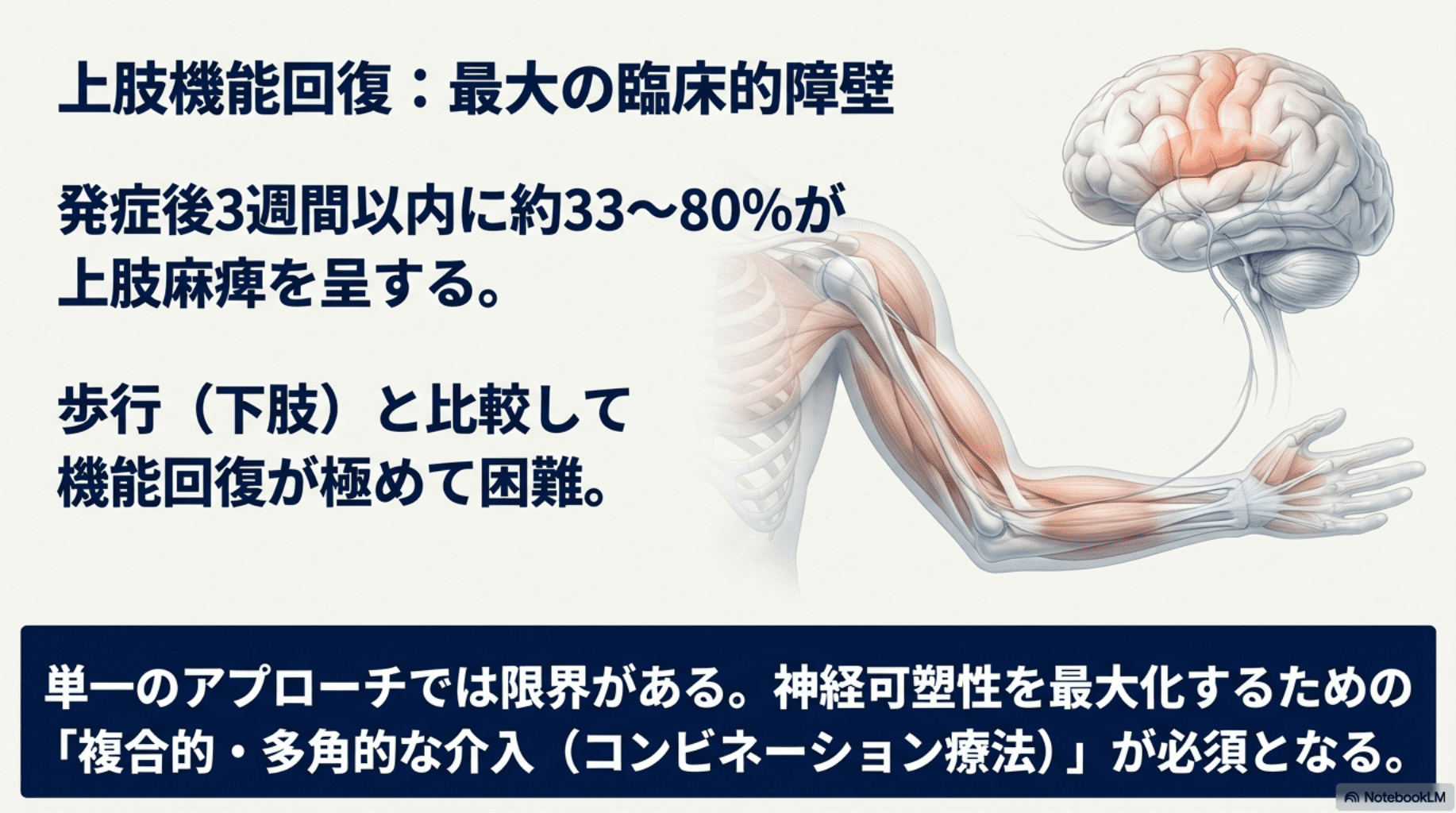 2026年版】脳卒中リハビリの最新エビデンス完全まとめ｜ 片麻痺の歩行