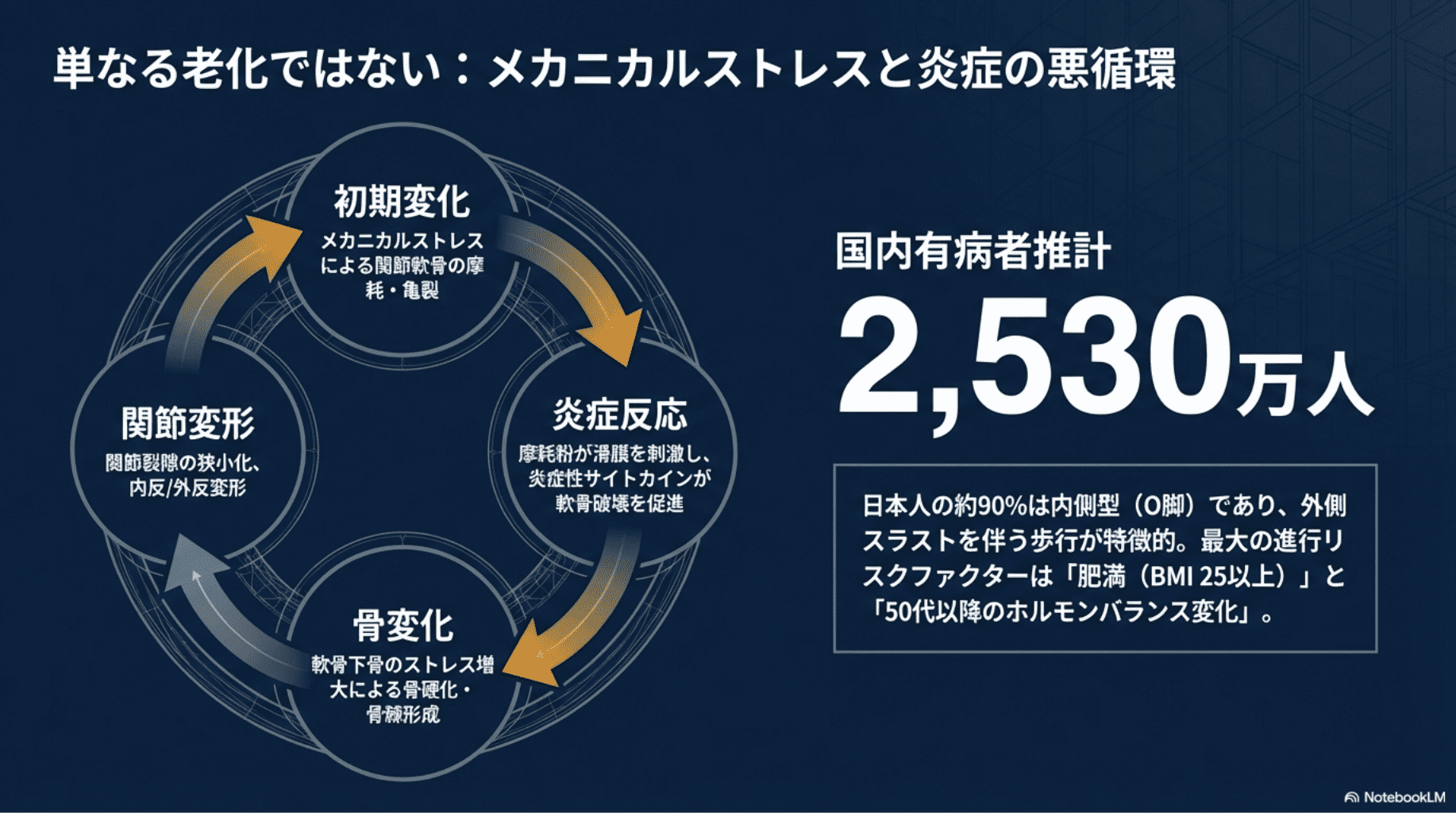 2026年版】変形性膝関節症リハビリ完全ガイド｜PT・OTが教える運動療法