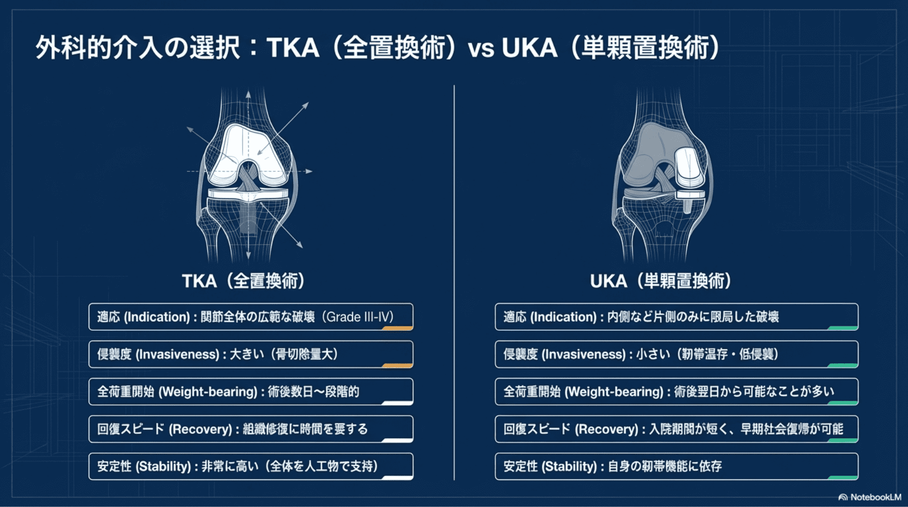 2026年版】変形性膝関節症リハビリ完全ガイド｜PT・OTが教える運動療法