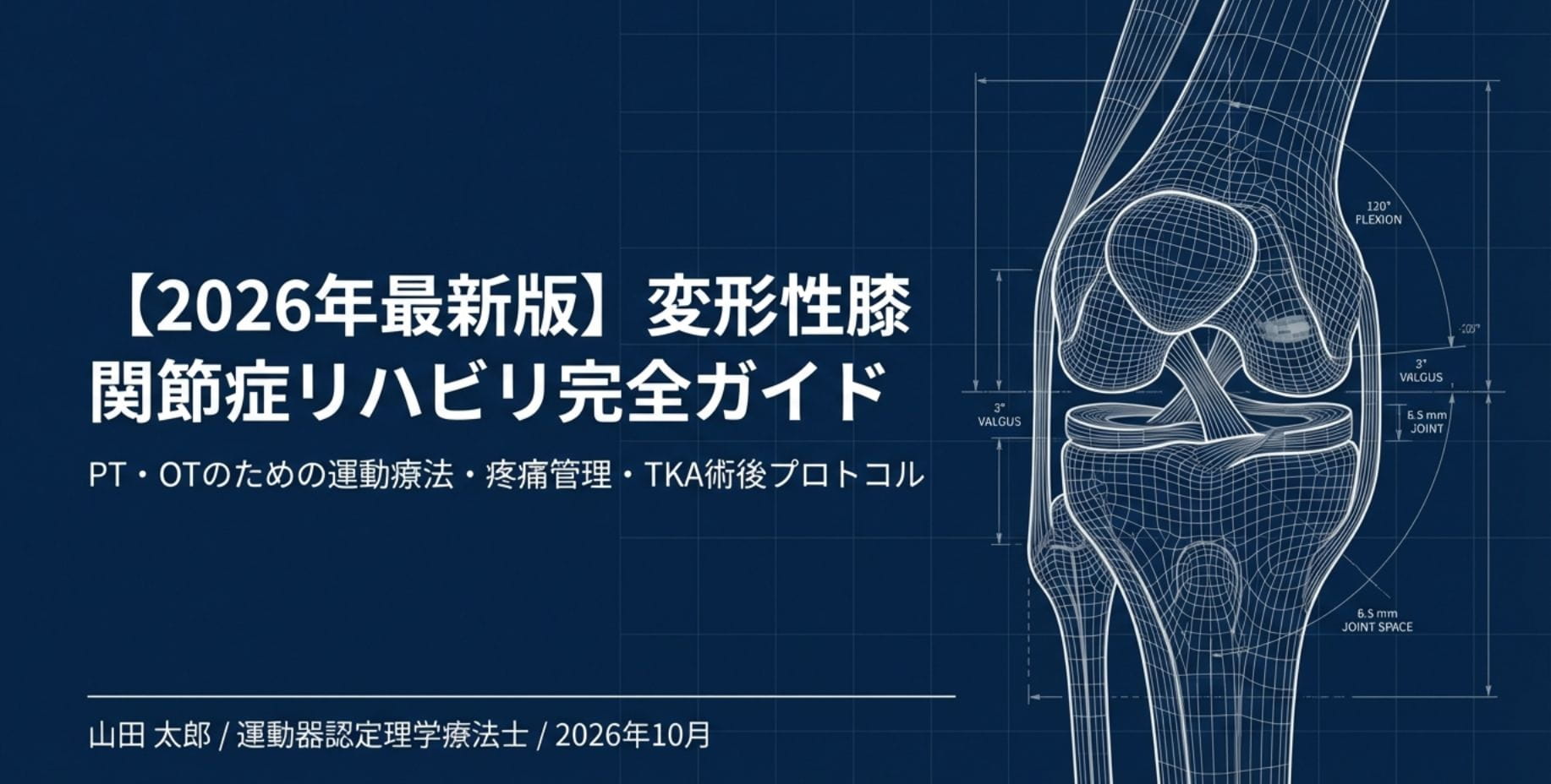 2026年版】変形性膝関節症リハビリ完全ガイド｜PT・OTが教える運動療法