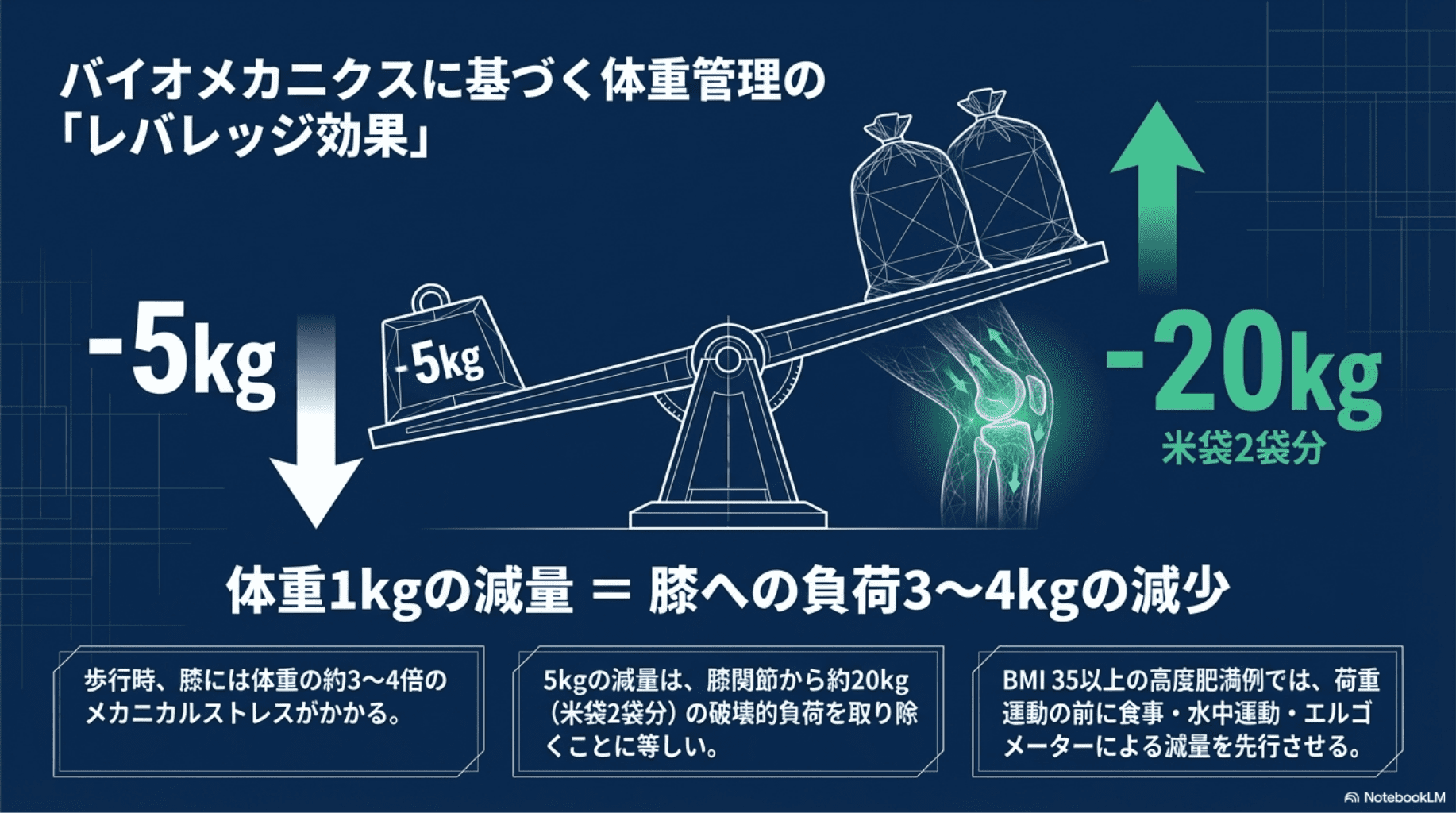 2026年版】変形性膝関節症リハビリ完全ガイド｜PT・OTが教える運動療法