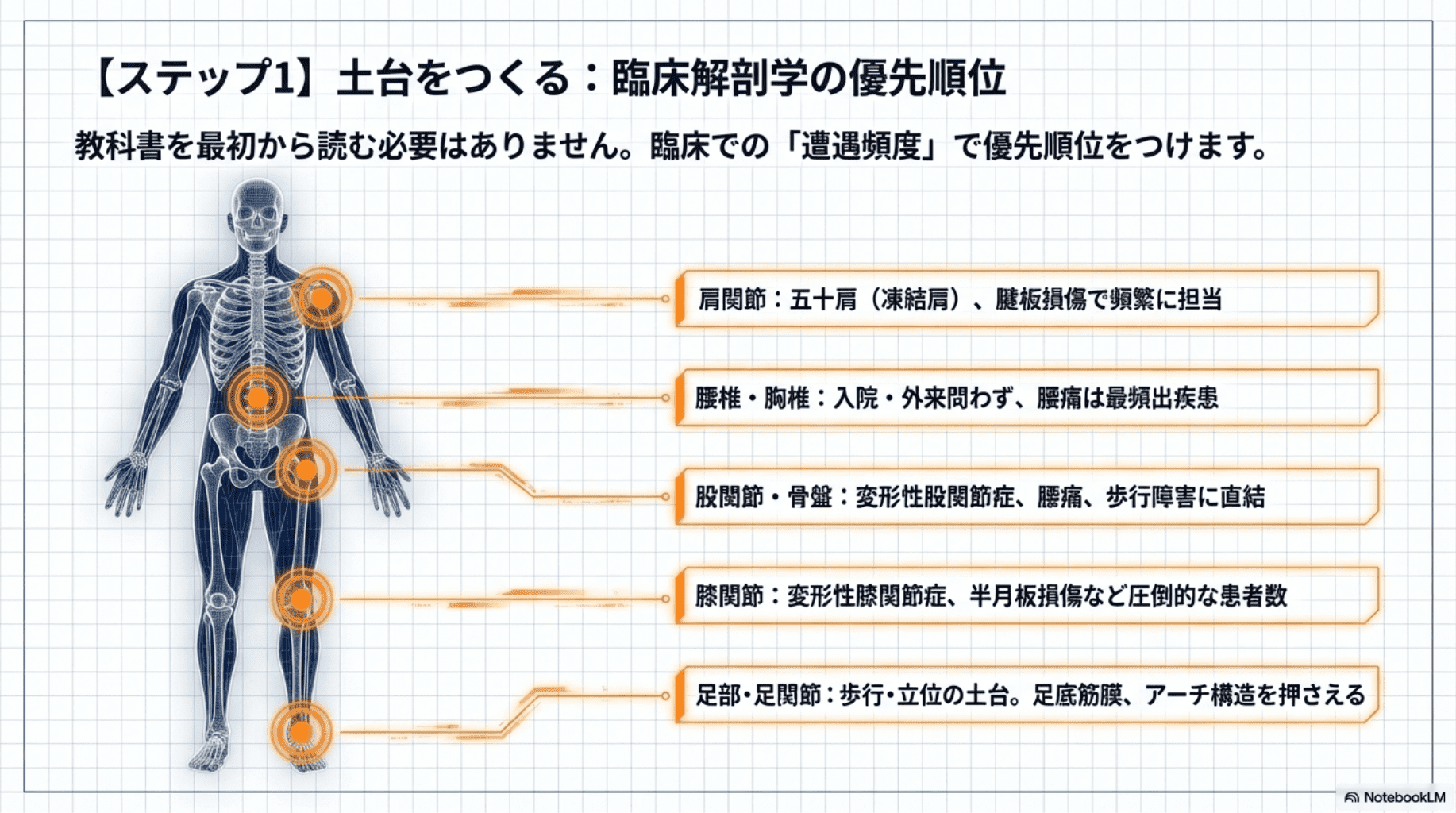 理学療法士が勉強すべき順番とは？新人PTが最初に身につけるべき知識