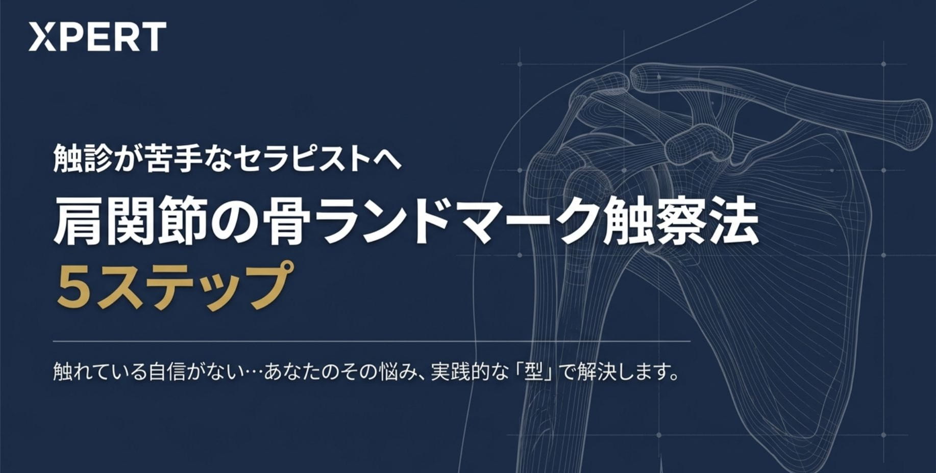 触診が苦手なセラピストへ──肩関節の評価精度を変える骨ランドマーク