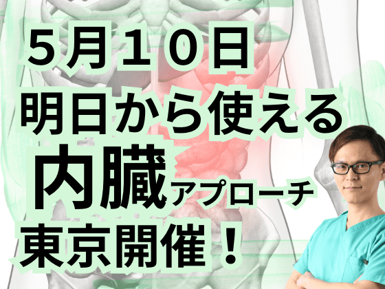 内臓アプローチ ｜ XPERT