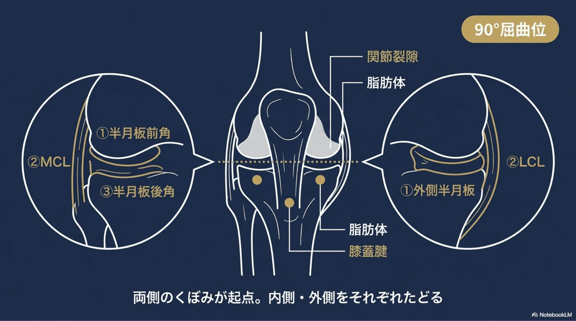 触診が苦手なセラピストへ【膝関節編】──ROM制限因子を見極める骨