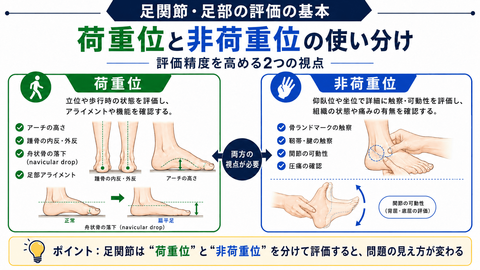 触診が苦手なセラピストへ【足関節編】──背屈制限の原因を見抜く骨