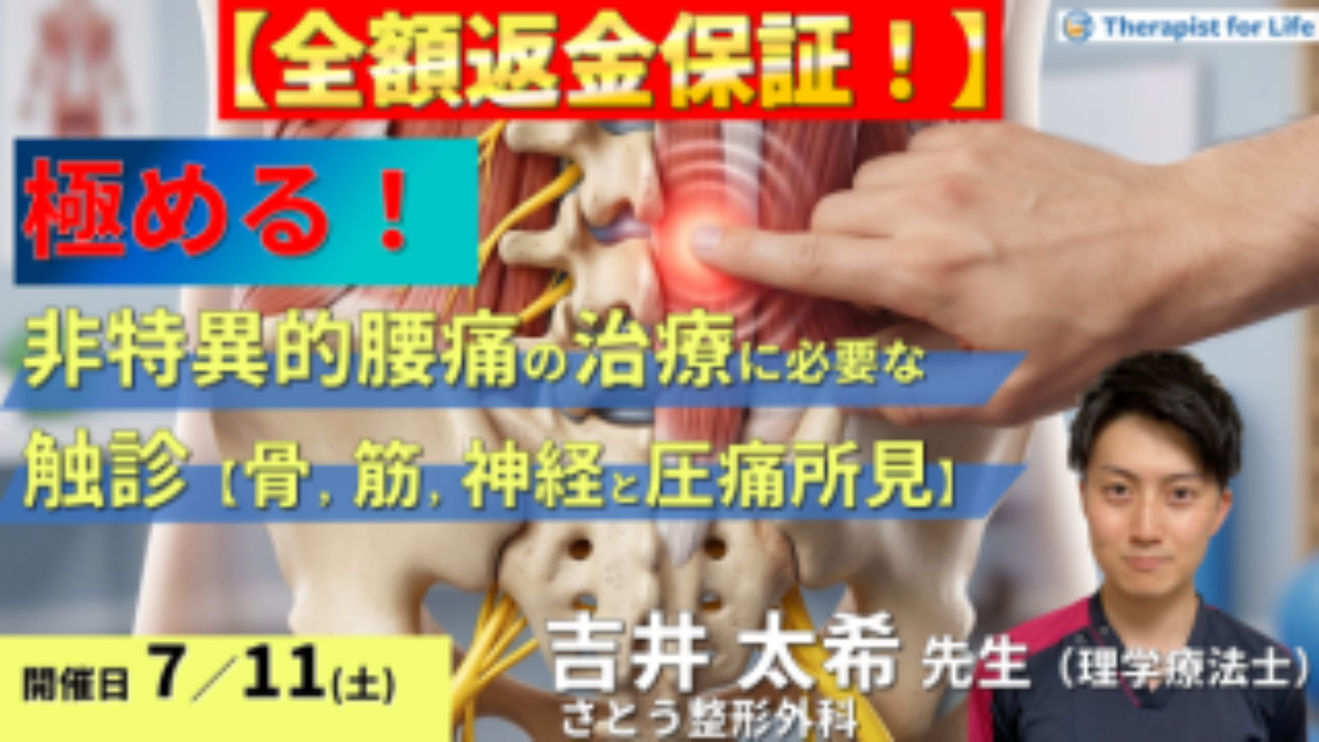 早割中！】非特異的腰痛の評価・運動療法を極めるための機能解剖と触診
