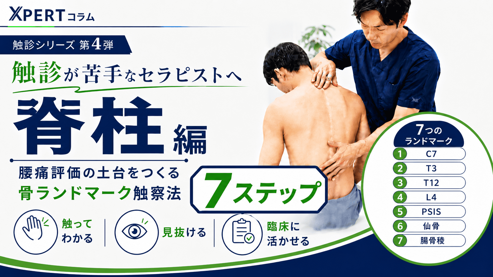 触診が苦手なセラピストへ【脊柱編】──腰痛評価の土台をつくる骨