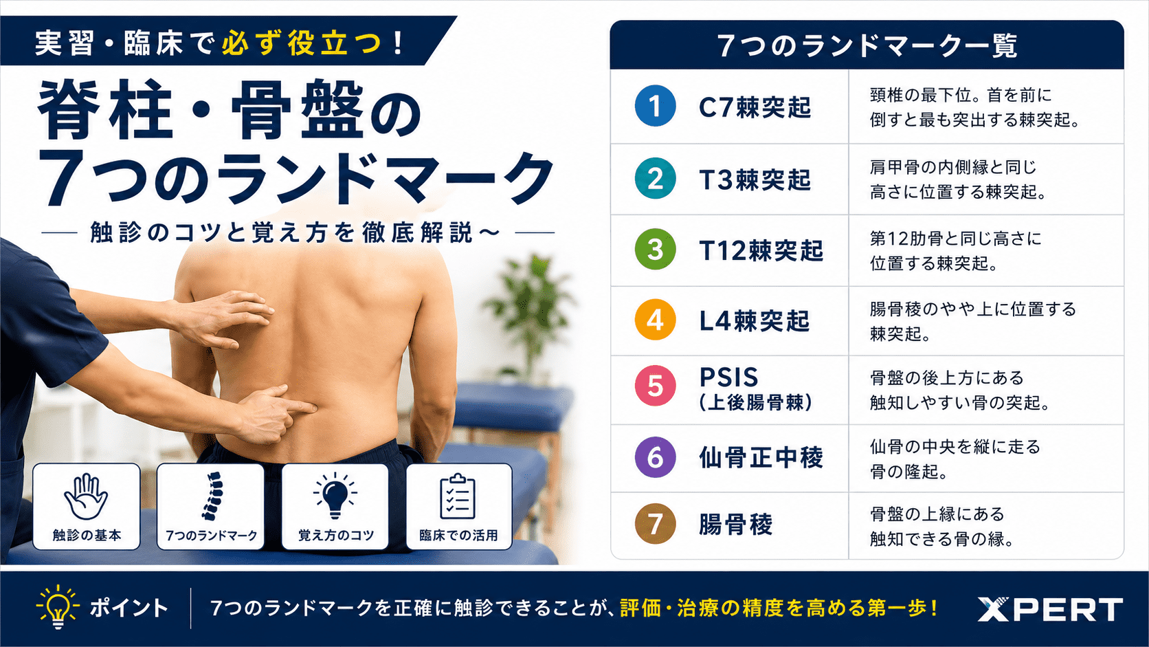 触診が苦手なセラピストへ【脊柱編】──腰痛評価の土台をつくる骨