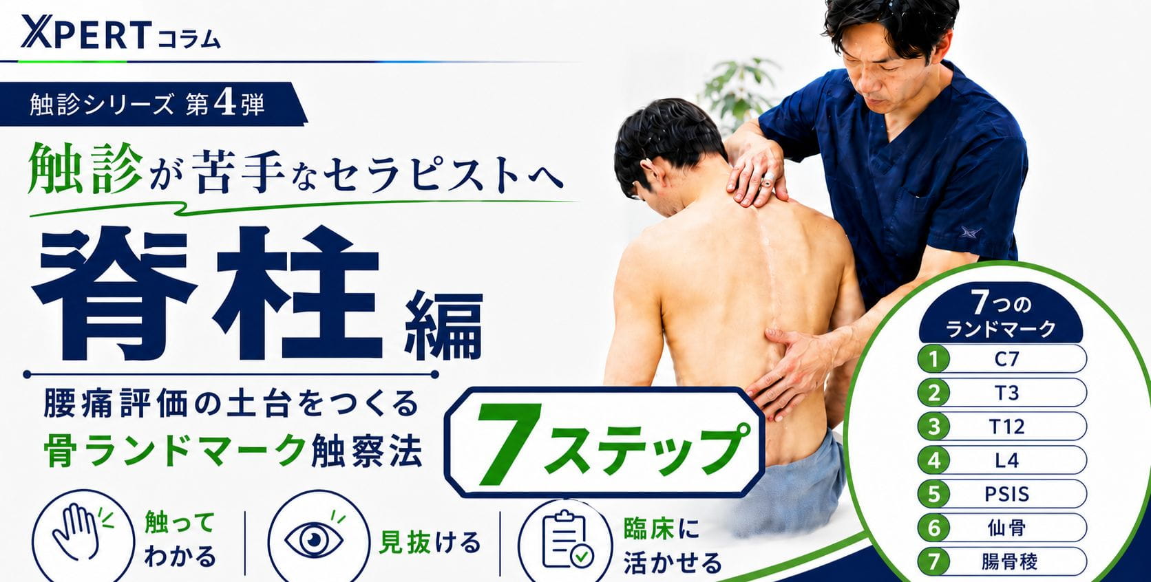 触診が苦手なセラピストへ【脊柱編】──腰痛評価の土台をつくる骨