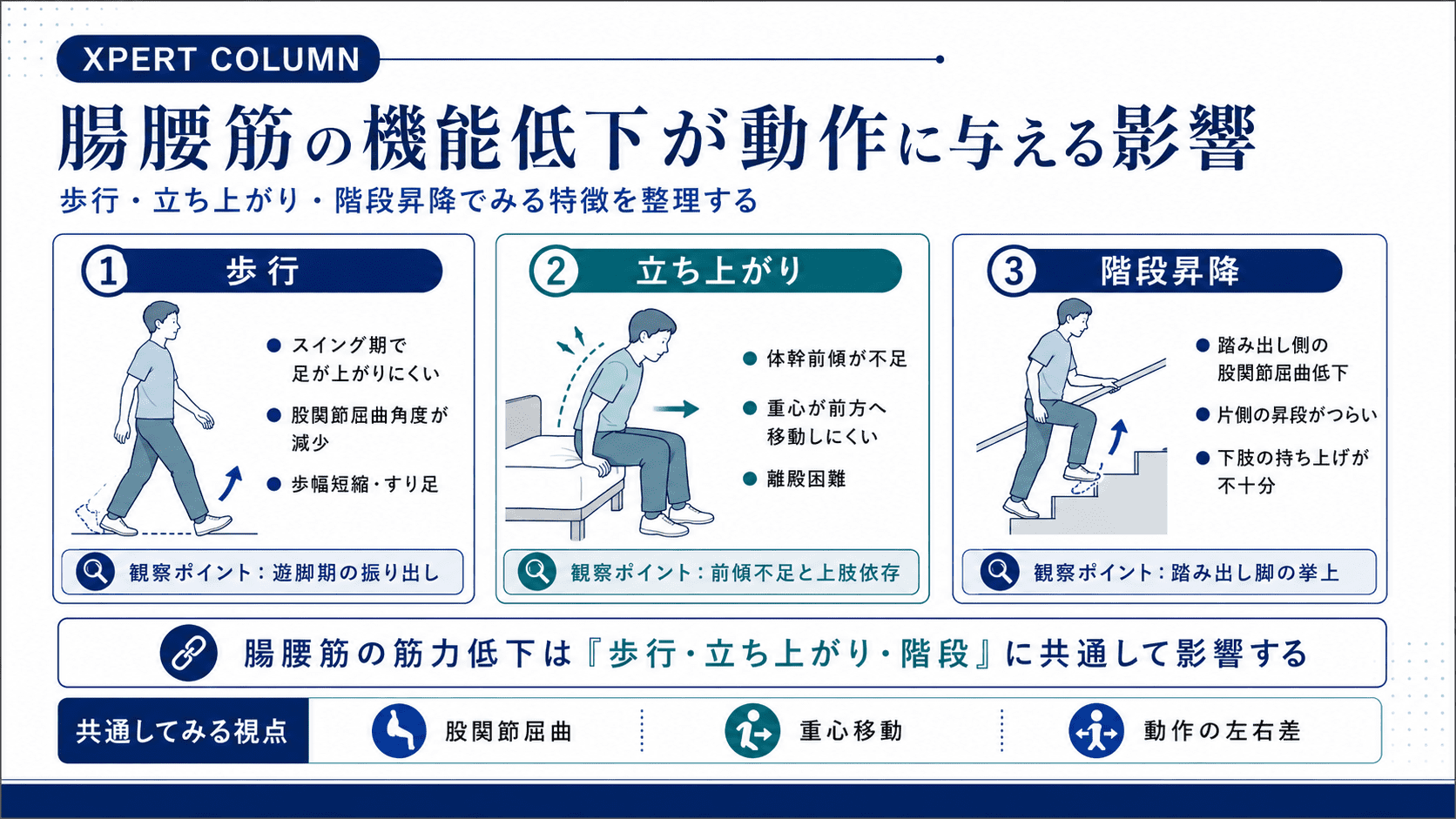 腸腰筋の解剖と臨床応用｜起始・停止・作用から触診・評価・腰痛との