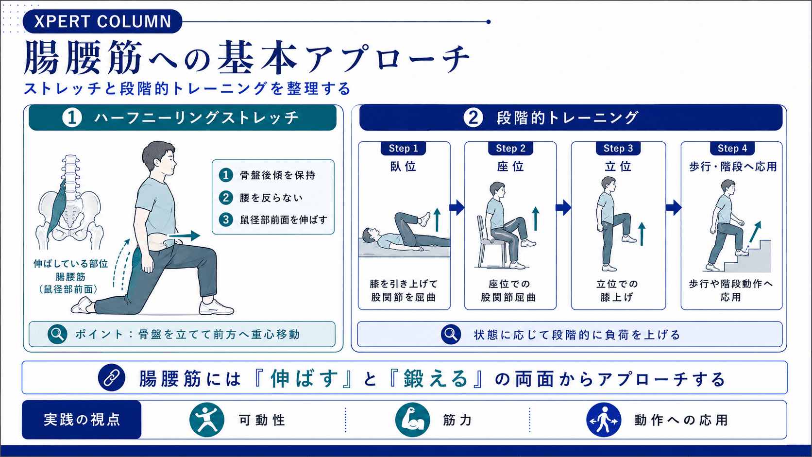腸腰筋の解剖と臨床応用｜起始・停止・作用から触診・評価・腰痛との
