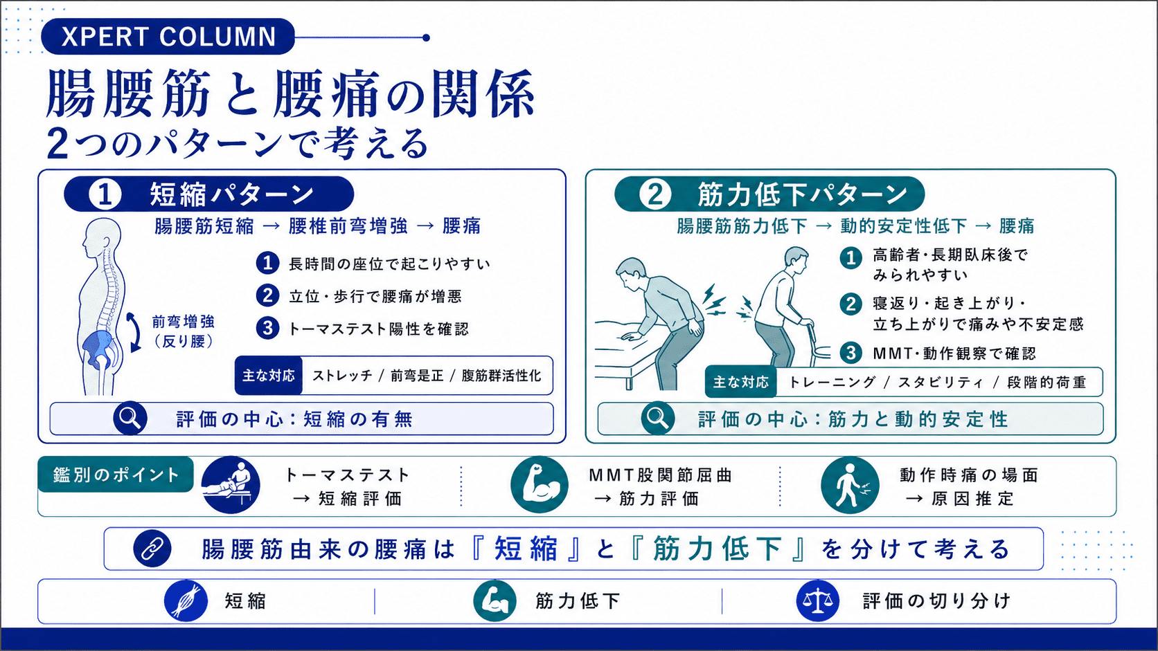 腸腰筋の解剖と臨床応用｜起始・停止・作用から触診・評価・腰痛との