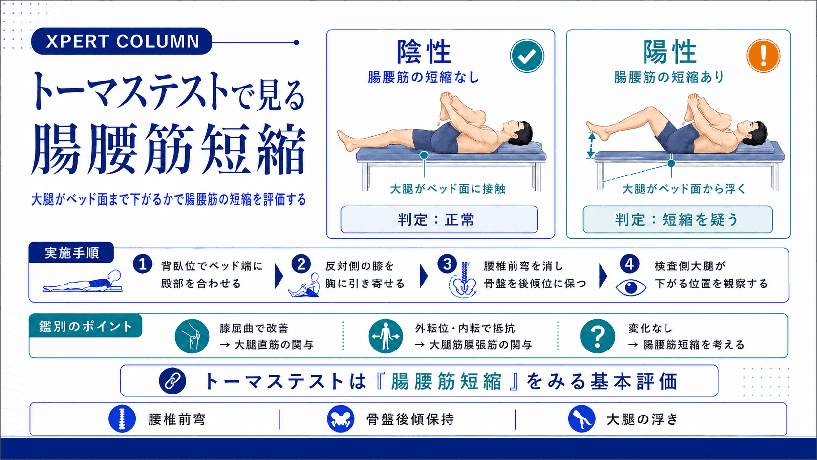 腸腰筋の解剖と臨床応用｜起始・停止・作用から触診・評価・腰痛との