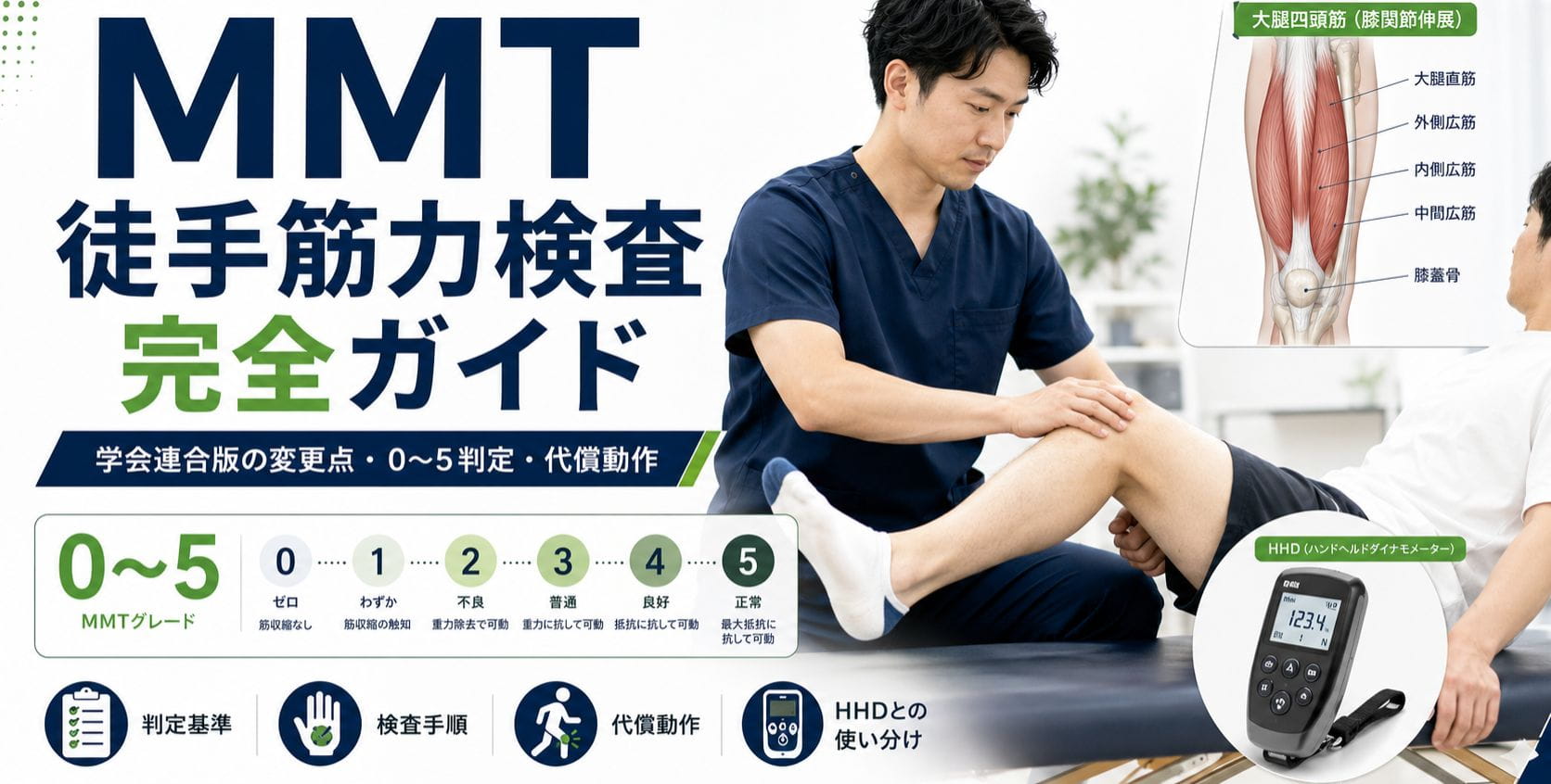 2026年版・保存版】MMT（徒手筋力検査）完全ガイド｜学会連合版の変更