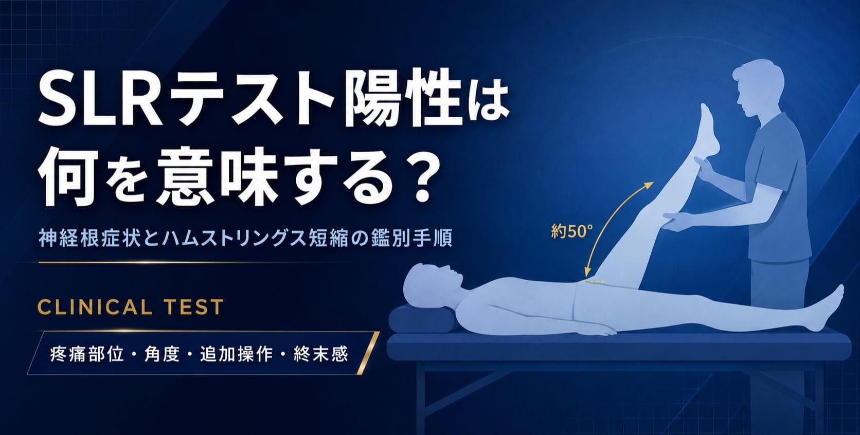 SLRテストの陽性は何を意味する？神経根症状とハムストリングス短縮の
