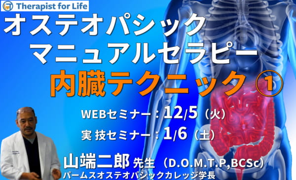 対面実技あり【オステオパシックマニュアルセラピー】第11回：内臓