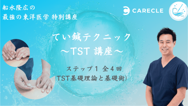 さざなみ鍉鍼 てい鍼 純銀 鍼灸 TST 船水隆広先生