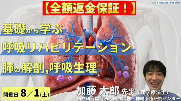 見逃し配信あり】内臓調整療法（南式内臓連鎖テクニック）入門セミナー