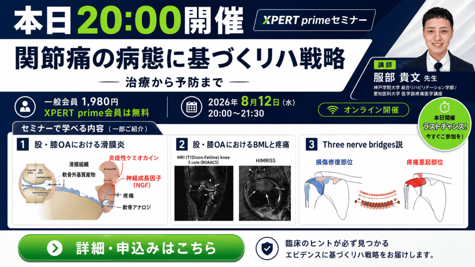 服部(8/12)
