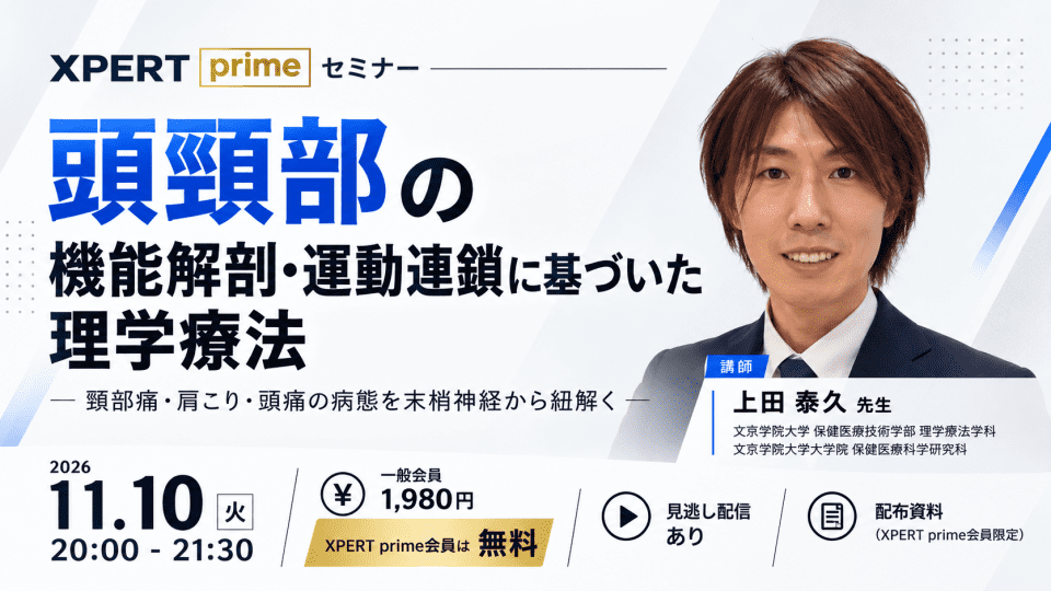 11/10 prime①